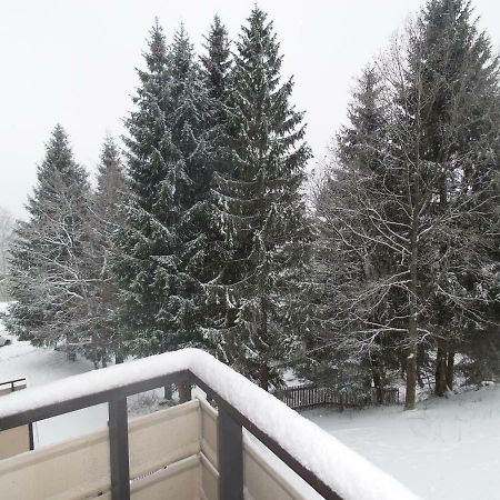 Ferienwohnung Mit Blick In Den Bayrischen Wald Oberhalb Von Sankt Engelmar Sankt Englmar Esterno foto