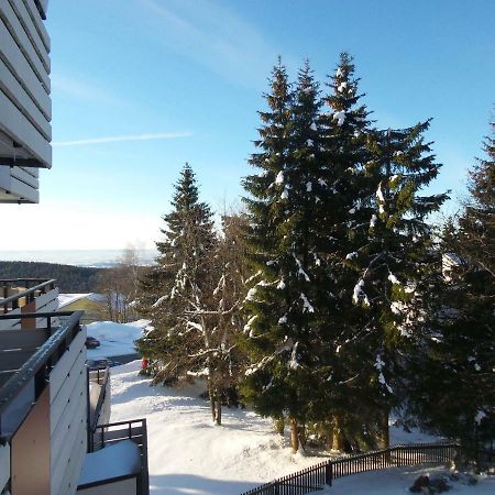 Ferienwohnung Mit Blick In Den Bayrischen Wald Oberhalb Von Sankt Engelmar Sankt Englmar Esterno foto