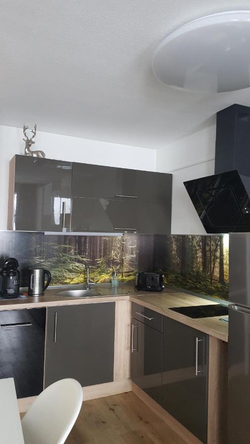 Ferienwohnung Mit Blick In Den Bayrischen Wald Oberhalb Von Sankt Engelmar Sankt Englmar Esterno foto