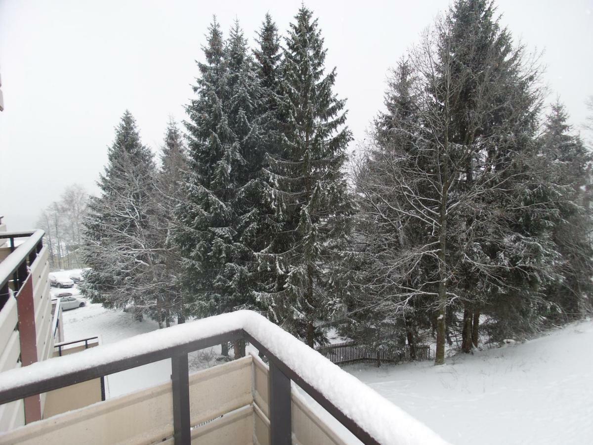 Ferienwohnung Mit Blick In Den Bayrischen Wald Oberhalb Von Sankt Engelmar Sankt Englmar Esterno foto
