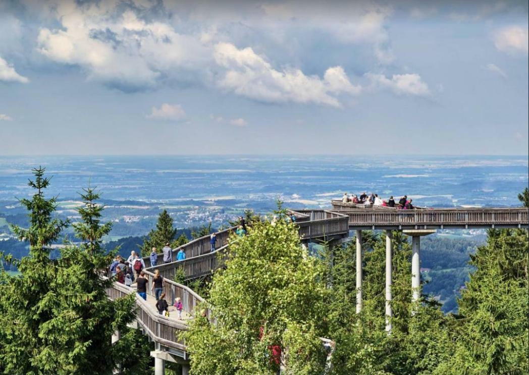 Ferienwohnung Mit Blick In Den Bayrischen Wald Oberhalb Von Sankt Engelmar Sankt Englmar Esterno foto